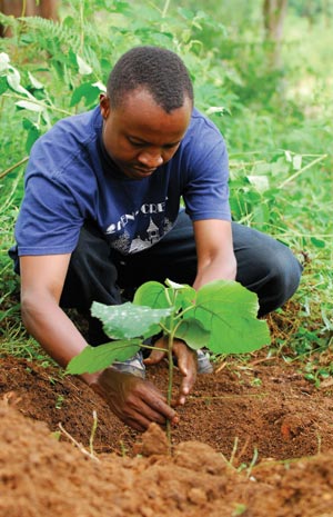 Tree planting in the Usambara Mountains in Tanzania