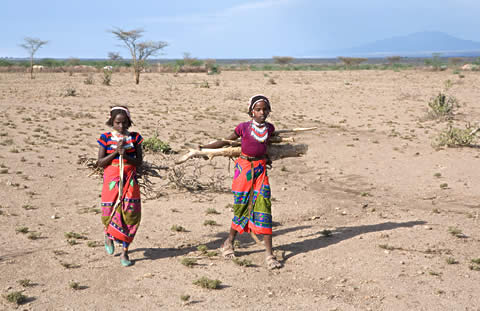 Girls collecting firewood in Ethiopia