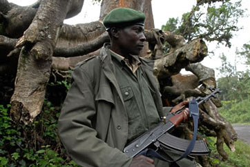 Congolese soldier in North Kivu