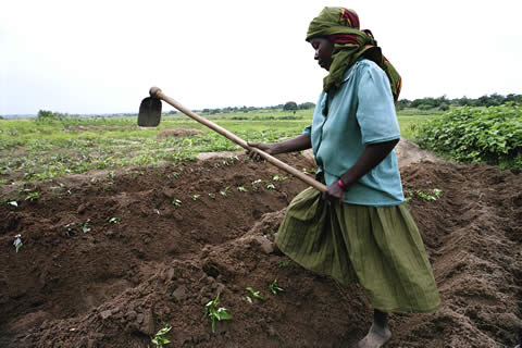 Farming in Tanzania