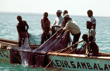 Senegalese fishing boat