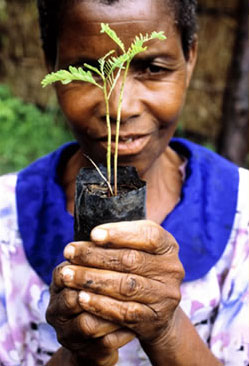 Woman with a seeding, as part of a reforestation project in Malawi