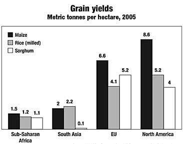 Grain yeilds graph