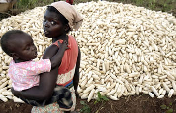 Mother in child with maize harvest