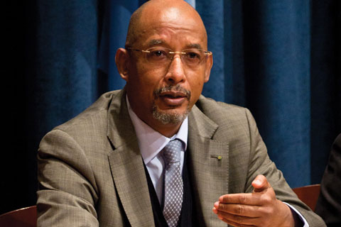 Ibrahim Assane Mayaki, CEO of the NEPAD Planning and Coordinating Agency - mayaki-interview-1_0