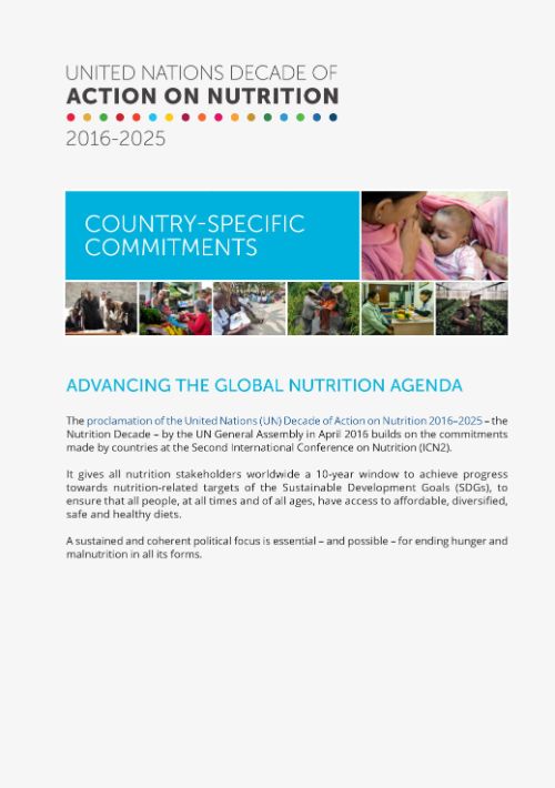 Front cover of the Nutrition Decade’s country-specific commitments flyer.