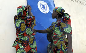 Most of the 410 WFP-supported granaries are founded and managed by women.