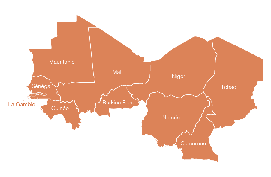 Les 10 pays de la Stratégie Intégrée des Nations Unies pour le Sahel