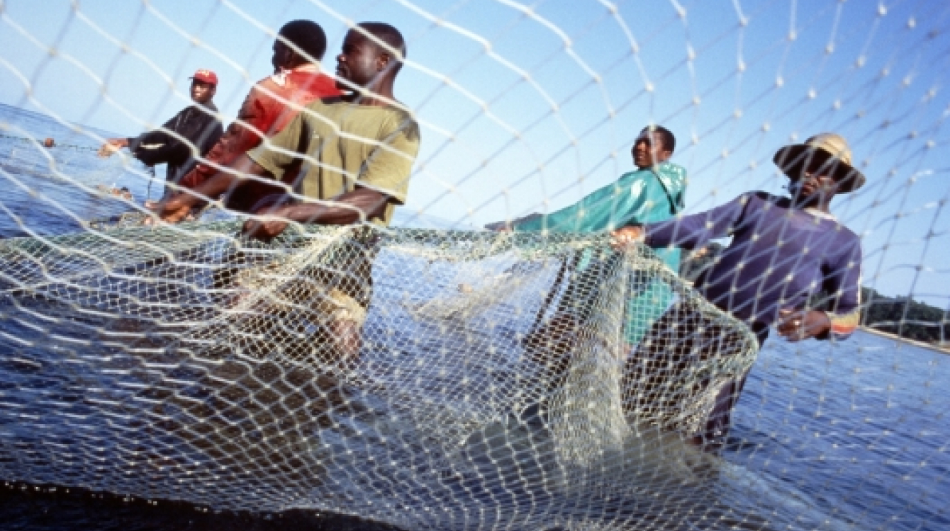Overfishing destroying livelihoods