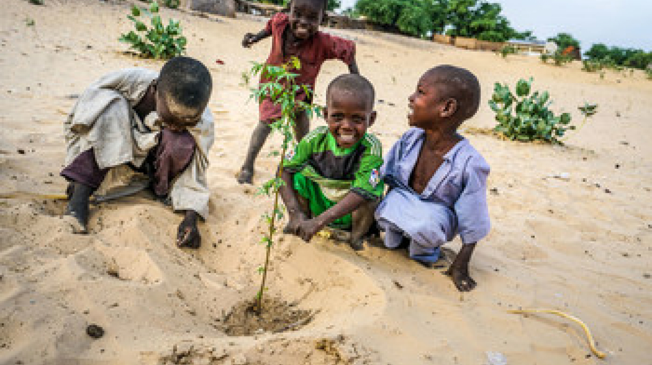 CLIMATE CHANGE FOCUS: Lake Chad trees keep deadly drought at bay | Africa Renewal