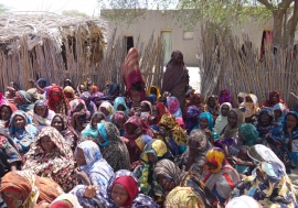 Internally displaced Chadian women, who fled Boko Haram threats, living with host families in Baga-Sola. Photo: OCHA/Mayanne Munan