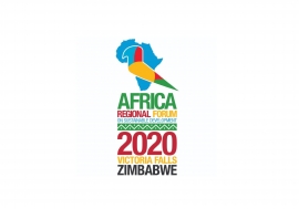 Sixth African Regional Forum on Sustainable Development in Zimbabwe