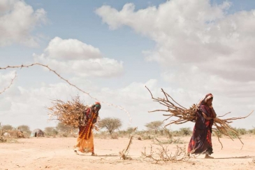 Le changement climatique entraîne des déplacements croissants en Afrique, où des régions sont ravagées par la sécheresse. 