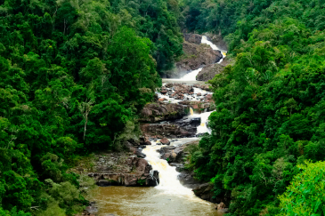 Parc national de Ranomafana, Madagascar