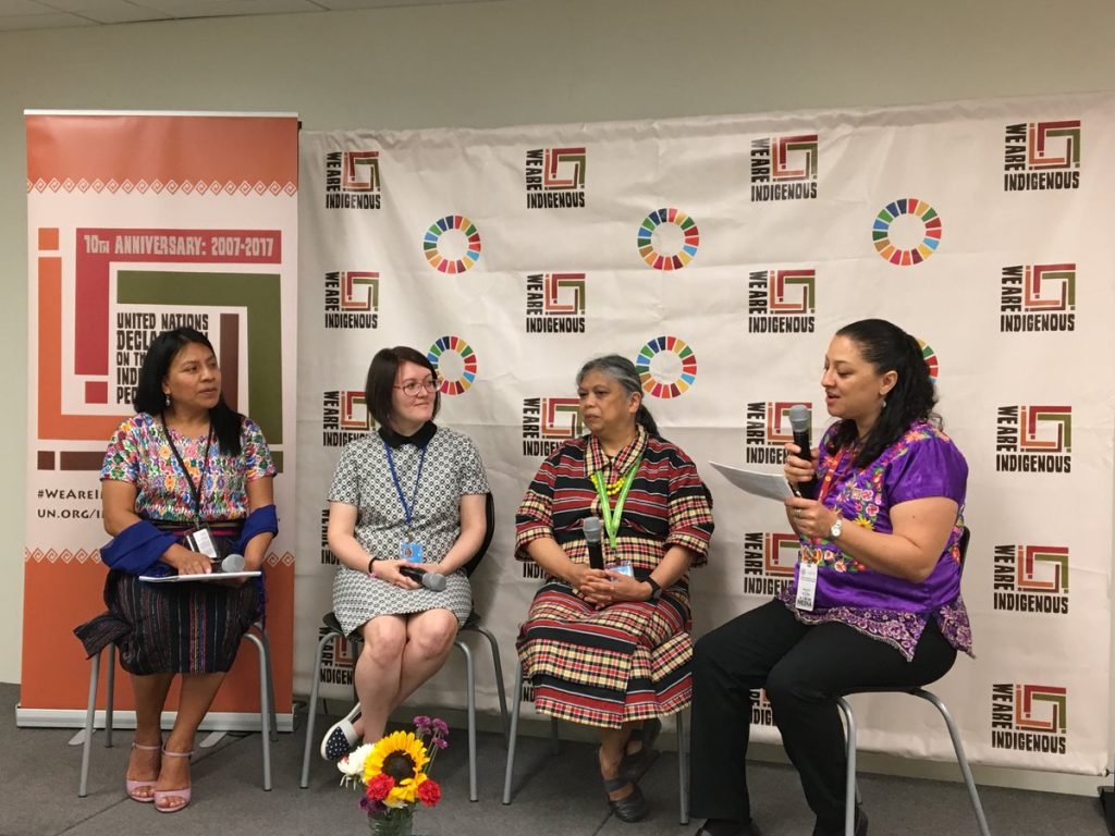 Indigenous Voices about SDGs – 2017 | United Nations For Indigenous Peoples