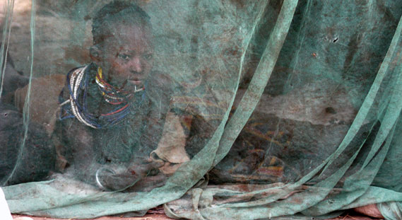 Malaria-control efforts have been improved. The number of insecticide-treated mosquito nets produced worldwide jumped from 30 million in 2004 to 95 million in 2007. In this picture, a girl rests under an insecticide-treated mosquito net.