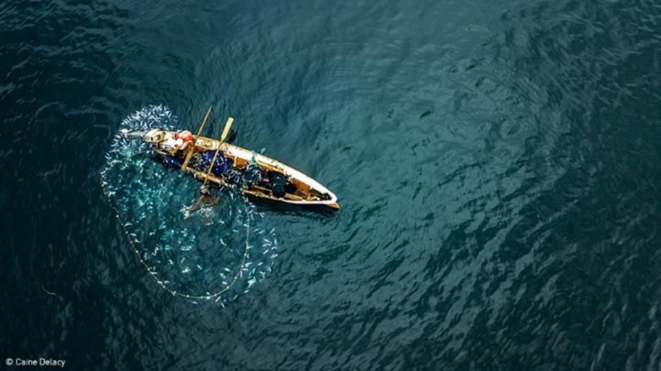 Net fishing from boat. Photo: Delacy, UN World Oceans Day Photo Competition
