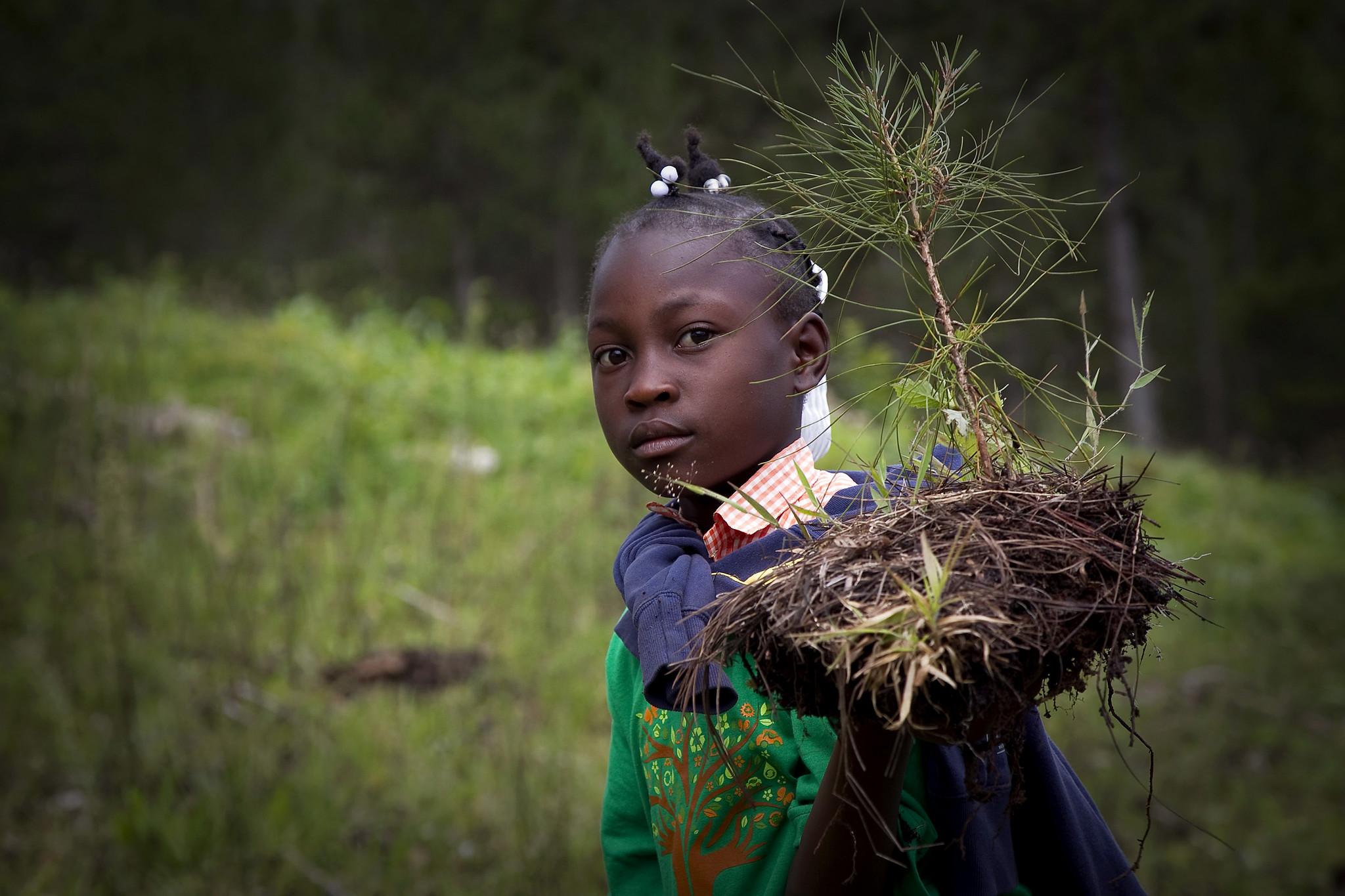 The picture of Haitian students breathe new life into depleted pine forest.