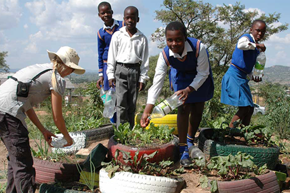 A group of school children in uniform work on a vegetable garden.