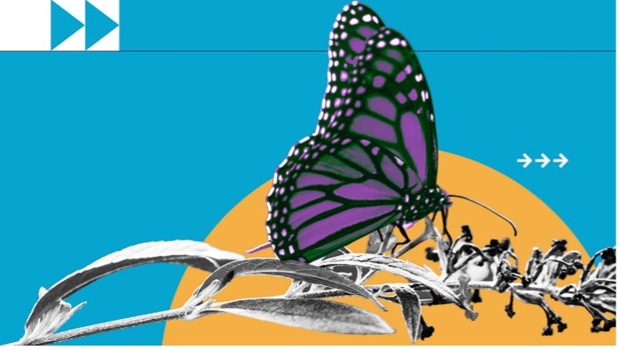 Illustration of purple butterfly on a branch