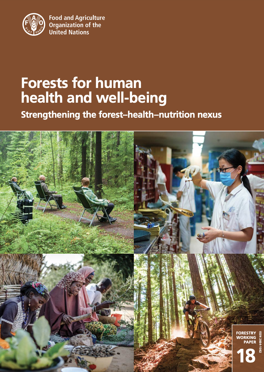 International Day of Forests 2023 global event highlights importance of  forests for environmental and human health