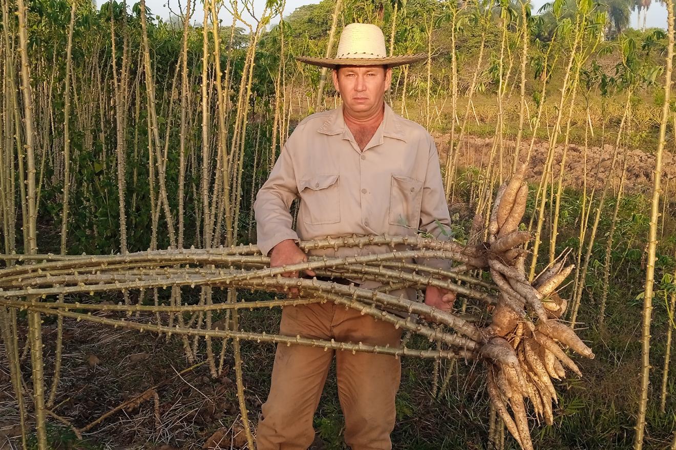 Mariano Quintero Almeida, un agricultor cubano, posa junto a un enorme manojo de marabú, el tipo de maleza que ha degradado tierras en toda cuba. 