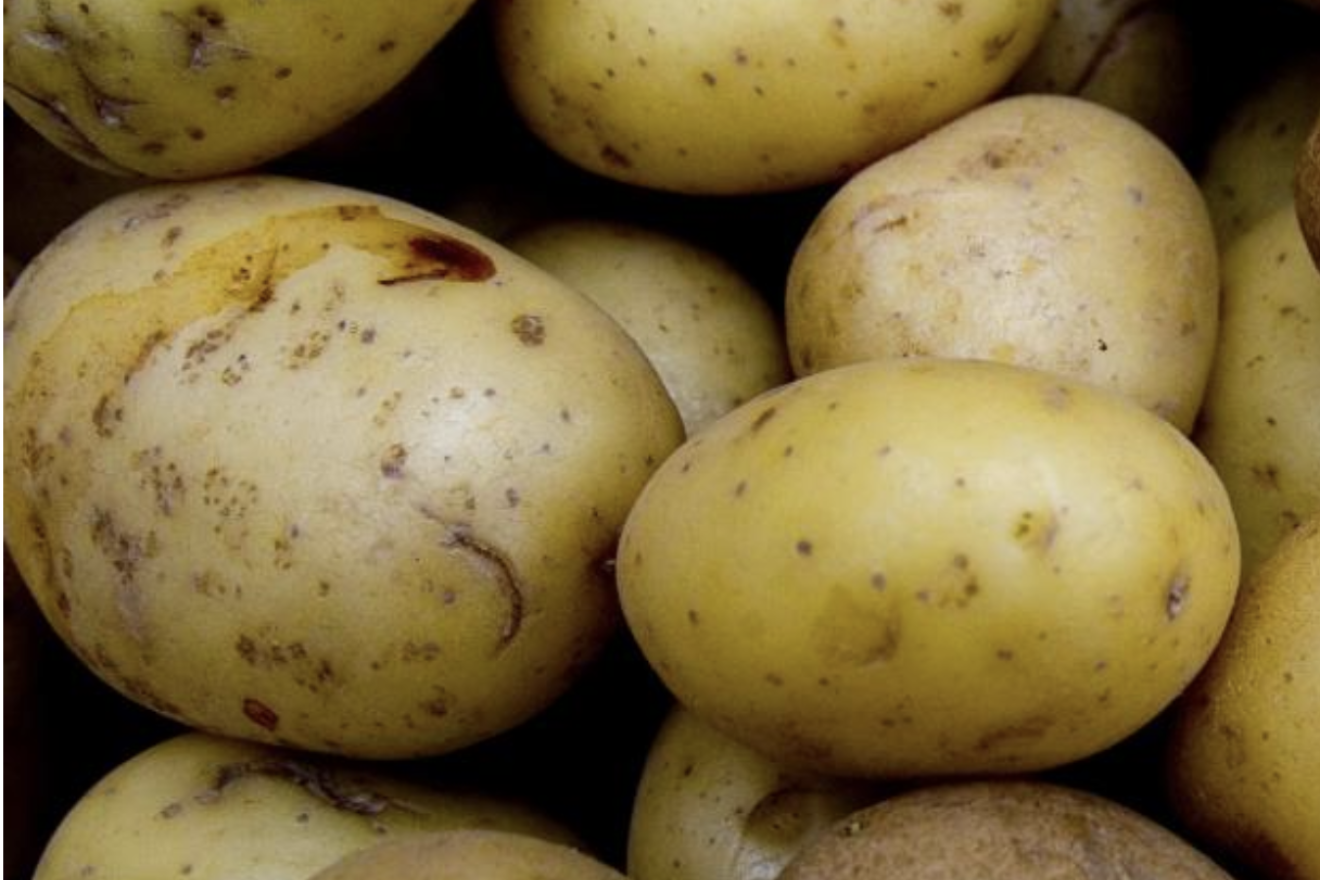 A group of potatoes