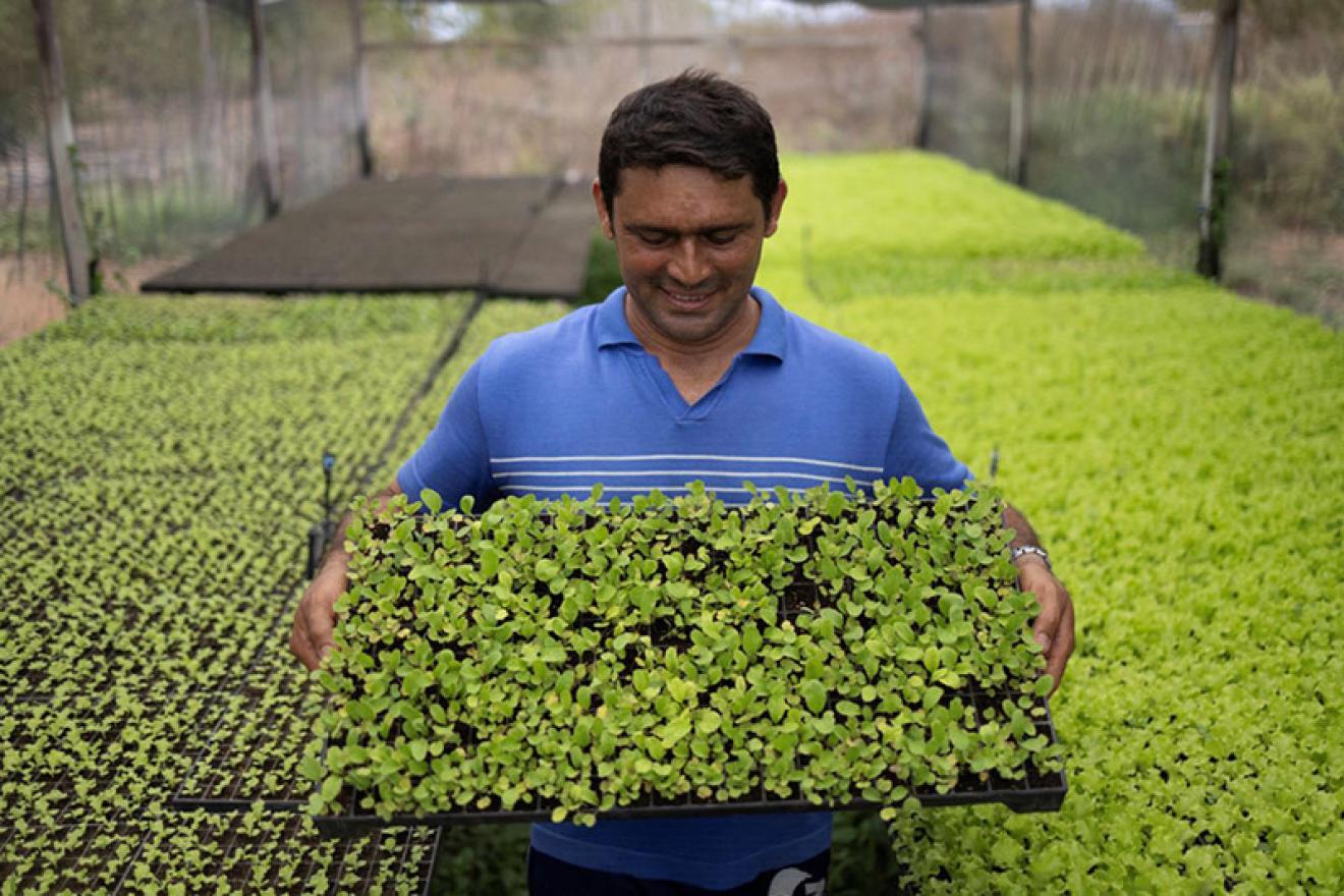 Tiago José Souza, miembro de la Cooperativa Cooperxique, sujeta una caja de plantación agroecología. 