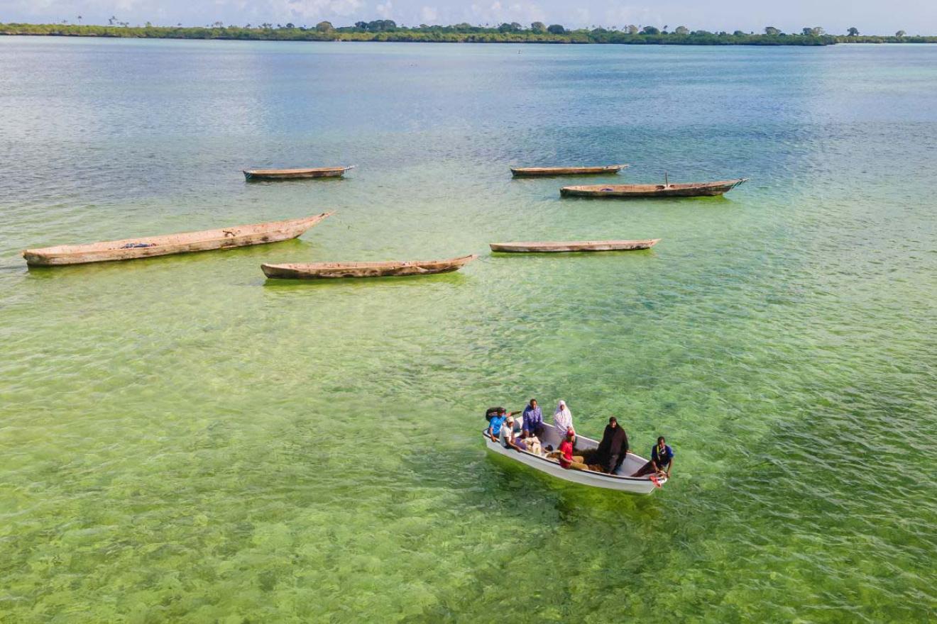 canoes in the water