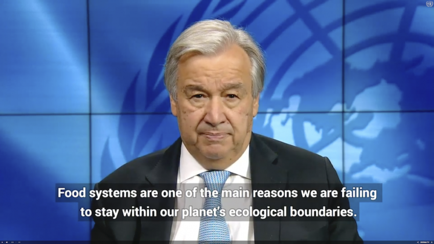 Un Secretary-General announces Food Systems Summit in September 2021