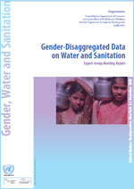 Gender-Disaggregated Data on Water and Sanitation. Expert Group Meeting Report