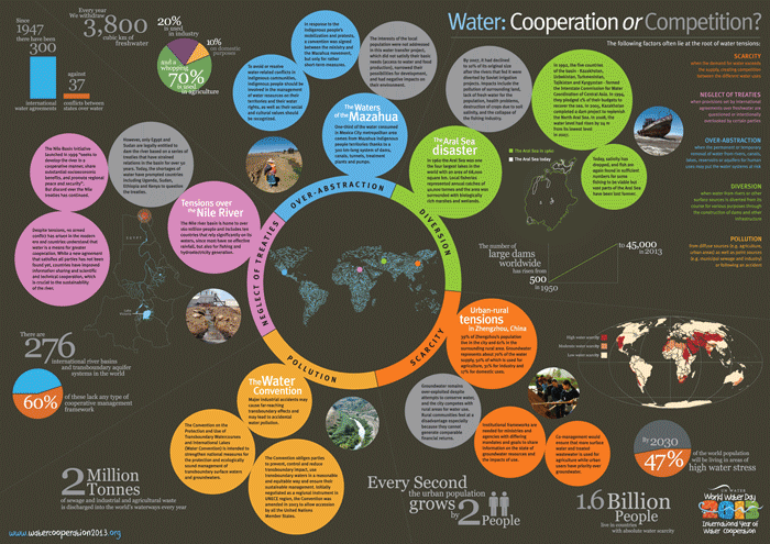 Water: Cooperation or Competition?